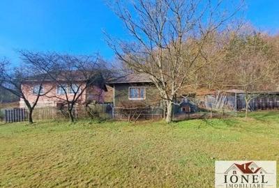 Casa cu 20000 mp de teren de vanzare in Zlatna - 10