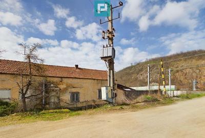 Fabrica de prelucrare a lemnului ?i palului - 22