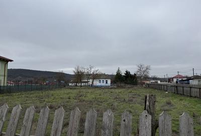 Teren de 1200 mp, în Șipotele - 4