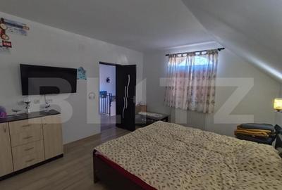 Casa 2 in 1, pentru 2 familii, 130 mp utili, Lunca Cetatuii - 3