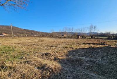 Casă cu 3 camere cu Teren 2300 Mp în Borza - 4
