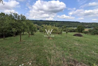 Teren agricol extravilan de 3223 mp, în Sibiel - 11