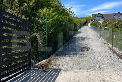 Teren de 1000 mp, în Viișoara - 11