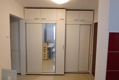 Apartament cu 2 camere decomandat, mobilat în Gorjului - 4