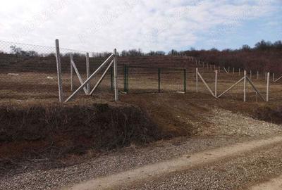 Spațiu comercial, în Podgoria - 2