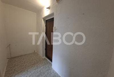 Garsonieră decomandată în Turnișor - 10