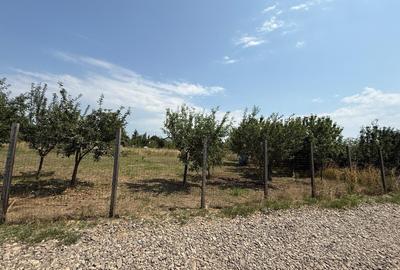 Teren agricol intravilan de 1212 mp, în Miroslava - 2