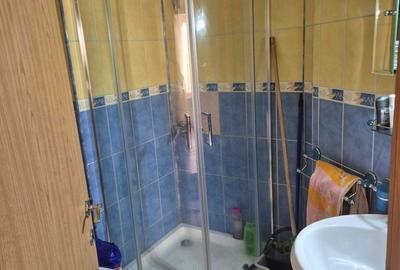 Apartament cu 3 camere decomandat în Ultracentral - 8