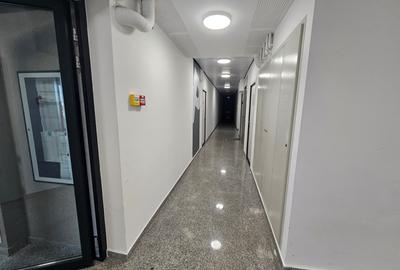 Garsonieră decomandată în Chitila - 6