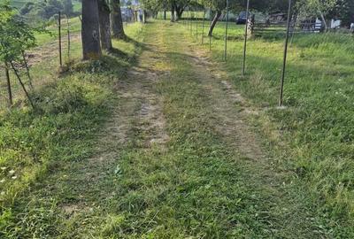 Intravilan Pestera, jud Brasov, comision 0% - 6