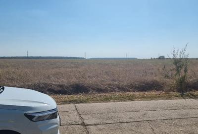 Teren agricol intravilan de 5000 mp, în Snagov - 2