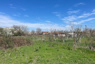 Teren Construcții intravilan de 800 mp, în Runcu - 1
