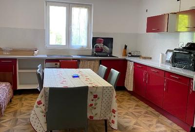 Casă individuală cu 5 camere cu Teren 1113 Mp în Mânăstirea - 8