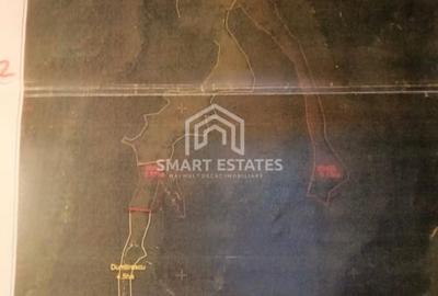 Comision 0% - Teren Comasat 39 ha langa Campulung Muscel - 1