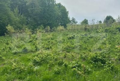 Teren de 3300 mp, în Central - 1