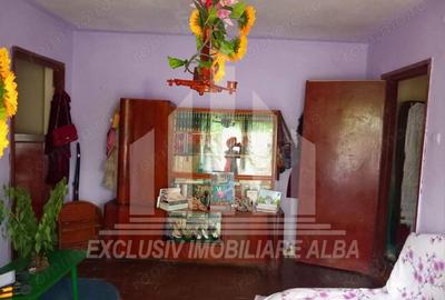 Apartament 2 camere de vanzare zona Cetate, etaj intermediar cu balcon - 2