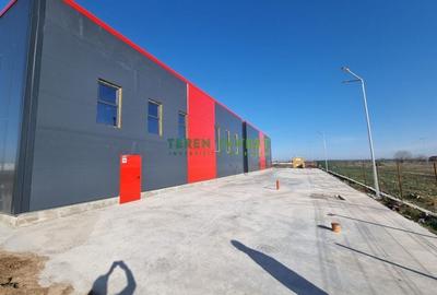 Hala Industriala de Vanzare  Locatie Ideala pentru Afacerea Ta! - 11
