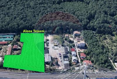 Teren investitie, 9690 mp, Aleea Teisani,sector 1 - 4