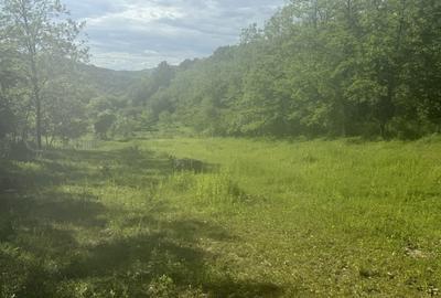 Spațiu comercial, în Ocnele Mari - 3