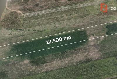 COMISION 0% Teren extravilan proximitate strategica, front la sosea - 4