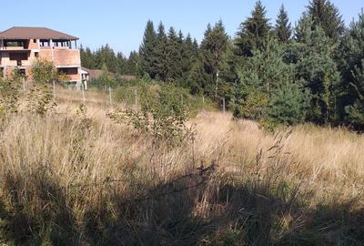 Teren Sacele zona de relaxare pretabil investitie - 2