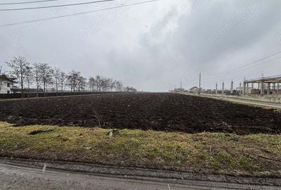 Teren de 15000 mp, în Saucenița - 4