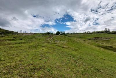 Teren extravilan 10000 mp, com Panatau - 8