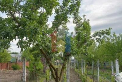 900 mp intravilan Chiscani deschidere 50m la sosea - 1