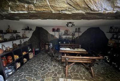 Casa de vacanta la 200m de Dunare - 46