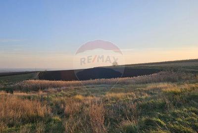 Teren extravilan 30077mp Stroiesti / Soseaua DN17, Suceava - 1