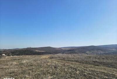 Spațiu comercial, în Tomești - 7