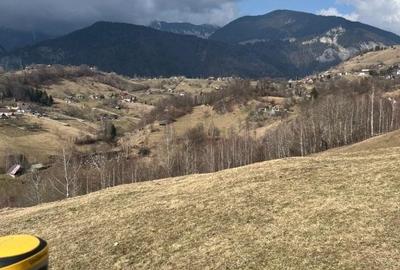 Vanzare Teren cu Punct de Belvedere in Moieciu zona Magura-Pestera - 17
