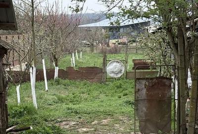 Casă cu 2 camere în Sântimreu - 4