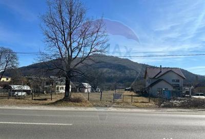 Teren de 3606 mp, în Pângărați - 4