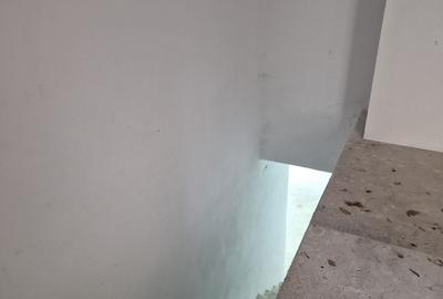 Spațiu comercial, de 360 mp, în Cișmigiu - 8