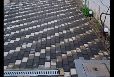 Casă cu 3 camere în Terezian - 6