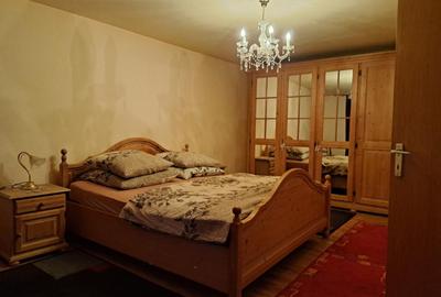 Casa mare cu 2 spatii comerciale, in Faget - 10