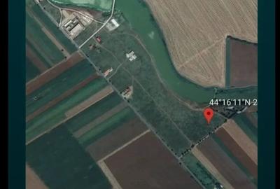 OCAZIE investitie Frumusani 3080 mp