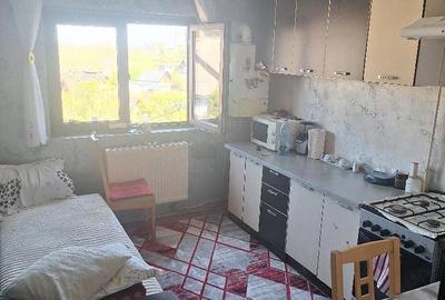 Casă cu 1 camere cu Teren 40 Mp în Tomești - 2