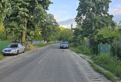 Casă cu 4 camere în Sărata - 3