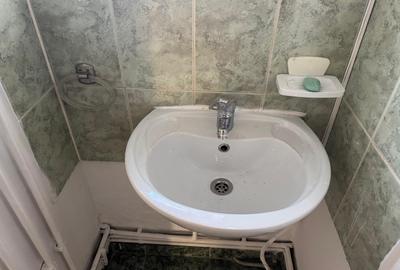 Inchiriere apartament doua camere mansarda vila D+P+1+M Cotroceni - 11