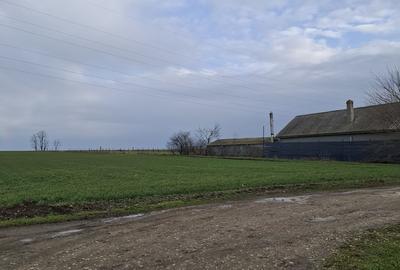 Teren de 3125 mp, în Corbu - 6