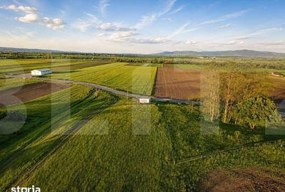 Teren de 9000 mp, în Ilieni - 3