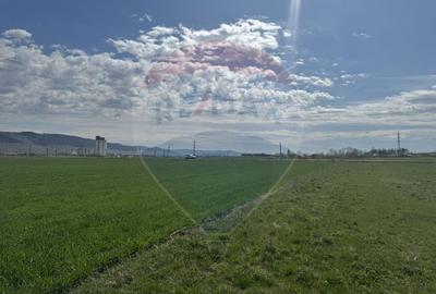 Teren Construcții extravilan de 8600 mp, în Luna de Jos - 11