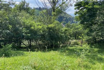 Teren intravilan de vanzare, cu vedere catre Castelul Bran - 4