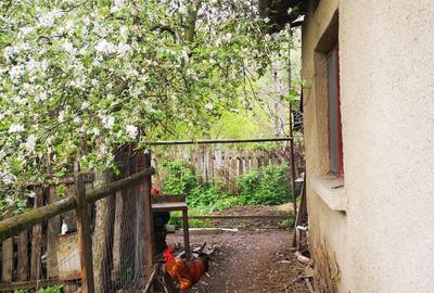 Casa de vanzare Iardastita (Caras-Severin) Casa de vanzare Iardastita (Caras-Severin) - 2