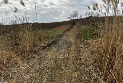 Teren agricol extravilan de 5240 mp, în Berchezoaia - 8