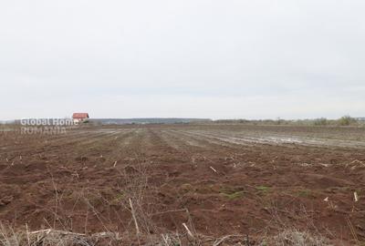Teren agricol extravilan de 4000 mp, în Corbeanca - 6