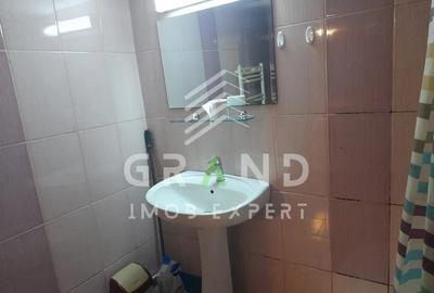 Apartament 1 camera de inchiriat, nivel demisol, perfect pentru tineri - Gruia Apartament 1 camera de inchiriat, nivel demisol, perfect pentru tineri - Gruia - 5