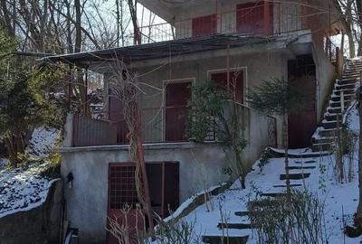 Teren de 7000 mp, în Spinuș - 5